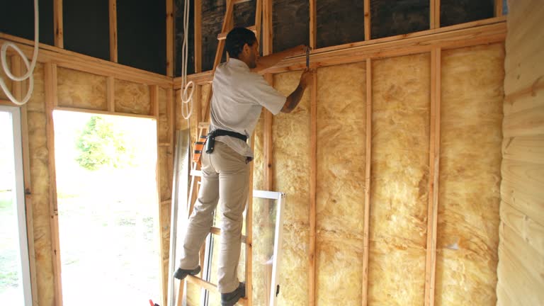 Best Attic Insulation Installation  in Monona, WI