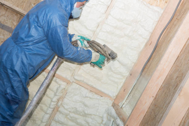 Thermal Imaging for Insulation Gaps in Monona, WI